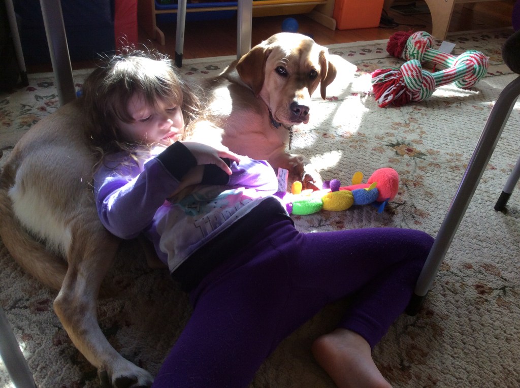 Alphabet & handwriting without&nbsp;tears