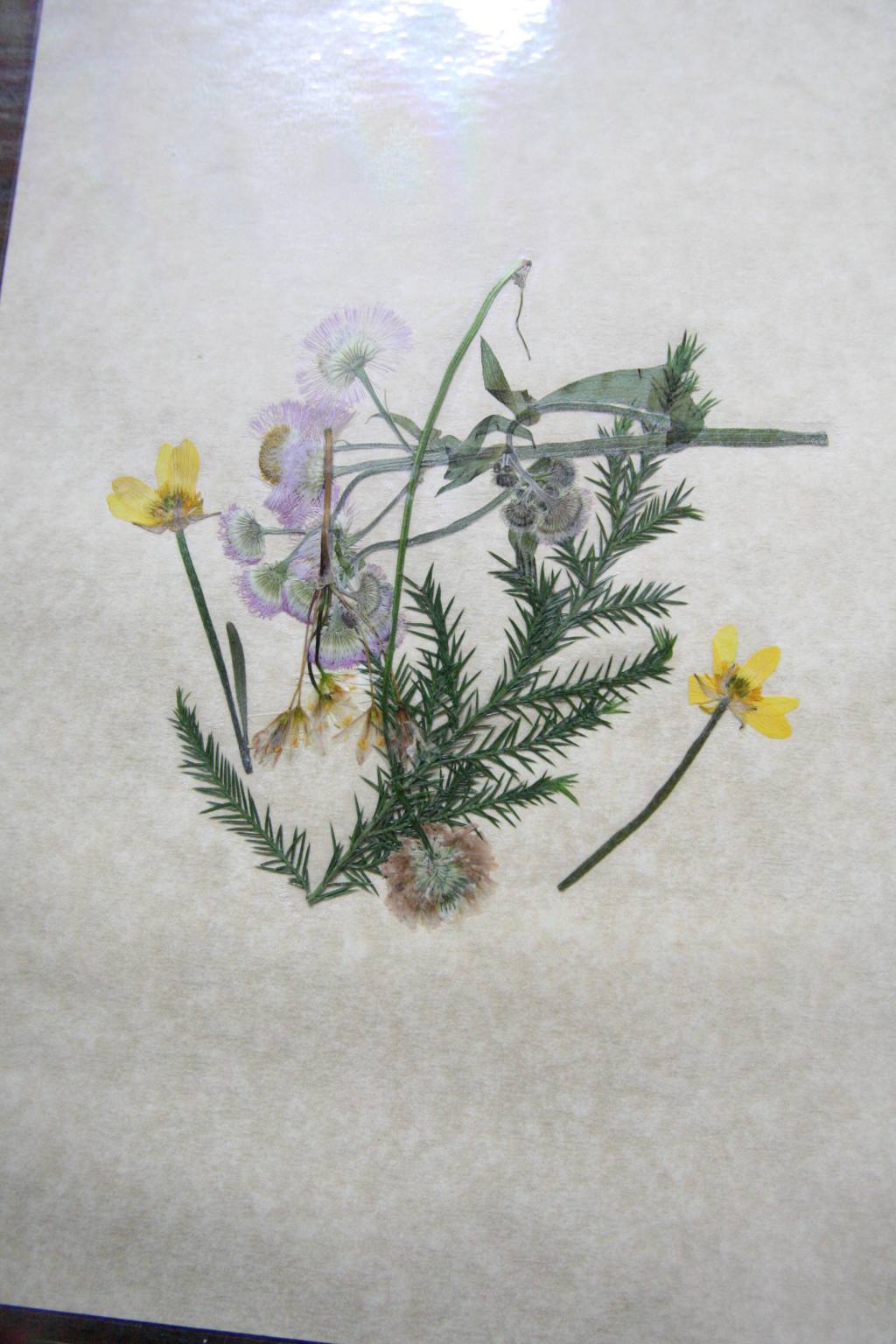 A little bit of&nbsp;everything